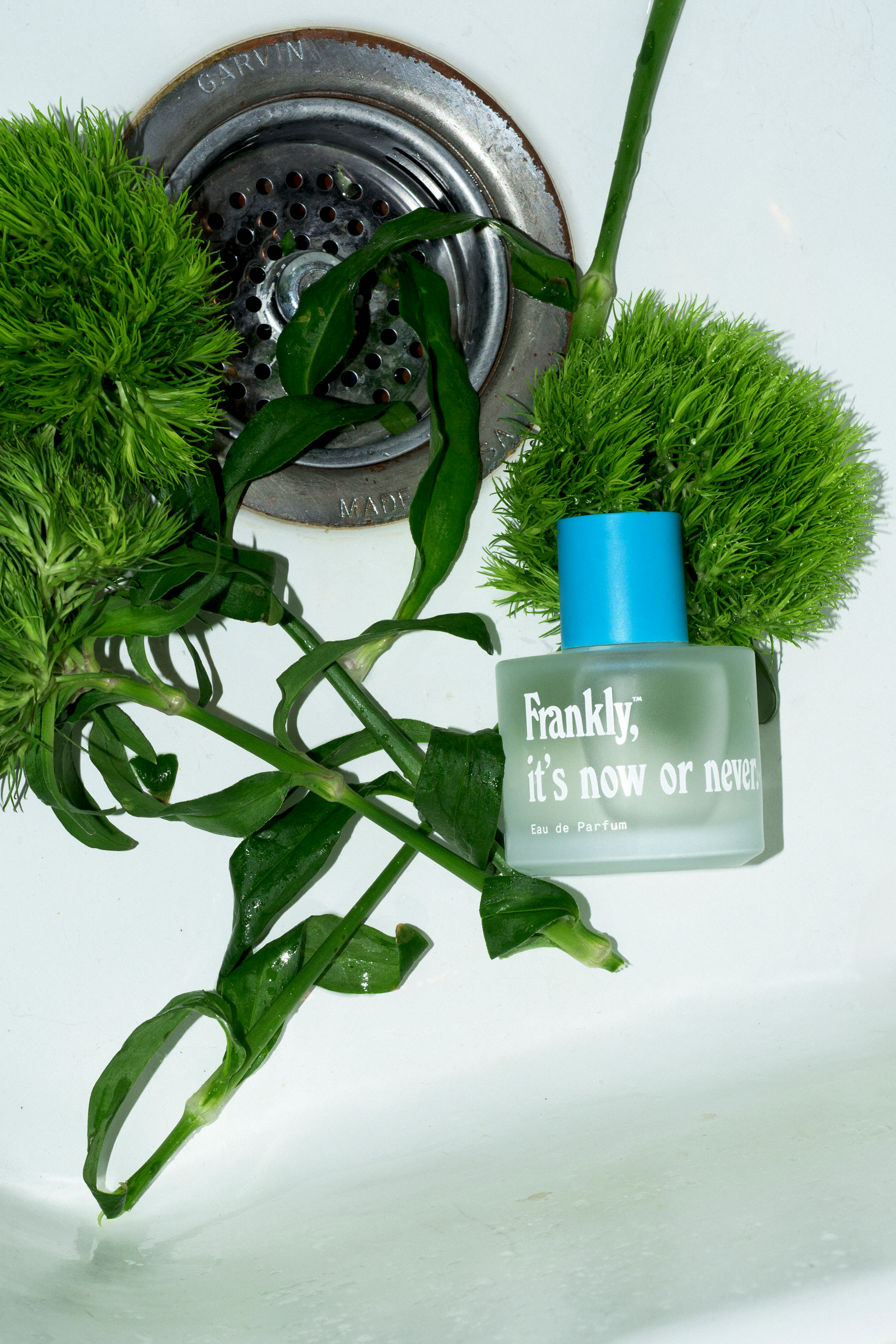 Frankly, its now or never fragrance