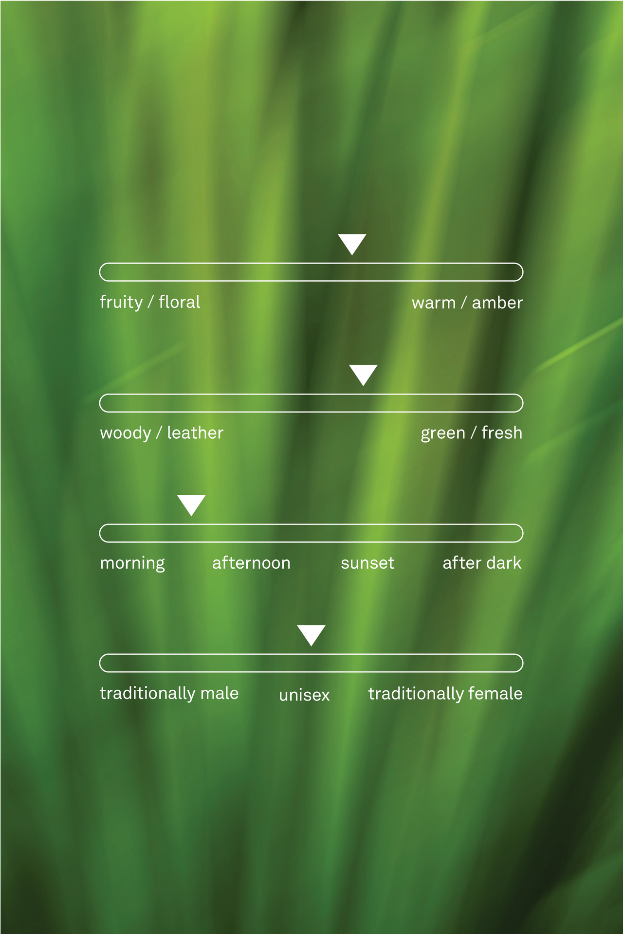 Frankly, its now or never fragrance